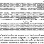 Fig. 1. Alignment of partial nucleotide sequences of the internal transcribed spacer of ribosomal DNA used for the selection of specific primers and probe. The sequences corresponding to the primers are shown in bold and underlined; sequences corresponding to probe are in italics. SN - S. nodorum; ST - S. tritici. For each strain listed numbers under which they were deposited in GenBank NCBI.