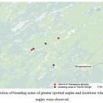 Fig. 7. Distribution of breeding areas of greater spotted eagles and locations where white-tailed eagles were observed