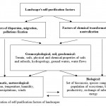Fig. 2 Classification of self-purification factors of landscapes