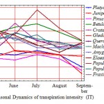 Fig 1. Seasonal Dynamics of transpiration intensity (IT)