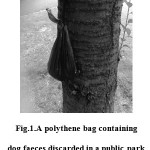  Fig.1.A polythene bag containing dog faeces discarded in a public park