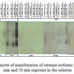 Figure 5. Character of manifestation of esterase isoforms after 15min, 30 min and 50 min exposure in the solution.