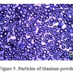 Figure 5. Particles of titanium powder