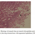  Figure 6: Histology of stomach from rat treated with ranitidine and myrrh (500 mg/kg, p.o) showing ulcerated area with regenerated epithelium (100X).