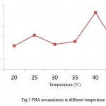 Fig.5 PHA accumulation at different temperature