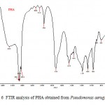 Fig. 6 FTIR analysis of PHA obtained from Pseudomonas aeruginosa