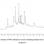 Fig.7 GCMS analysis of PHA obtained in sucrose containing medium from Pseudomonas aeruginosa