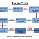 Figure 1-The flow chart of framework.