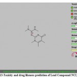 Figure 13-Toxicity and drug likeness prediction of Lead Compound NCI_170621.