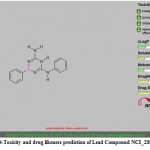 Figure 14-Toxicity and drug likeness prediction of Lead Compound NCI_281816_a.