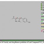 Figure 16-Toxicity and drug likeness prediction of Lead Compound NCI_13316_b.