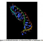 Figure 3- Predicted structure of riboswitch PRI1 of Influenza virus.