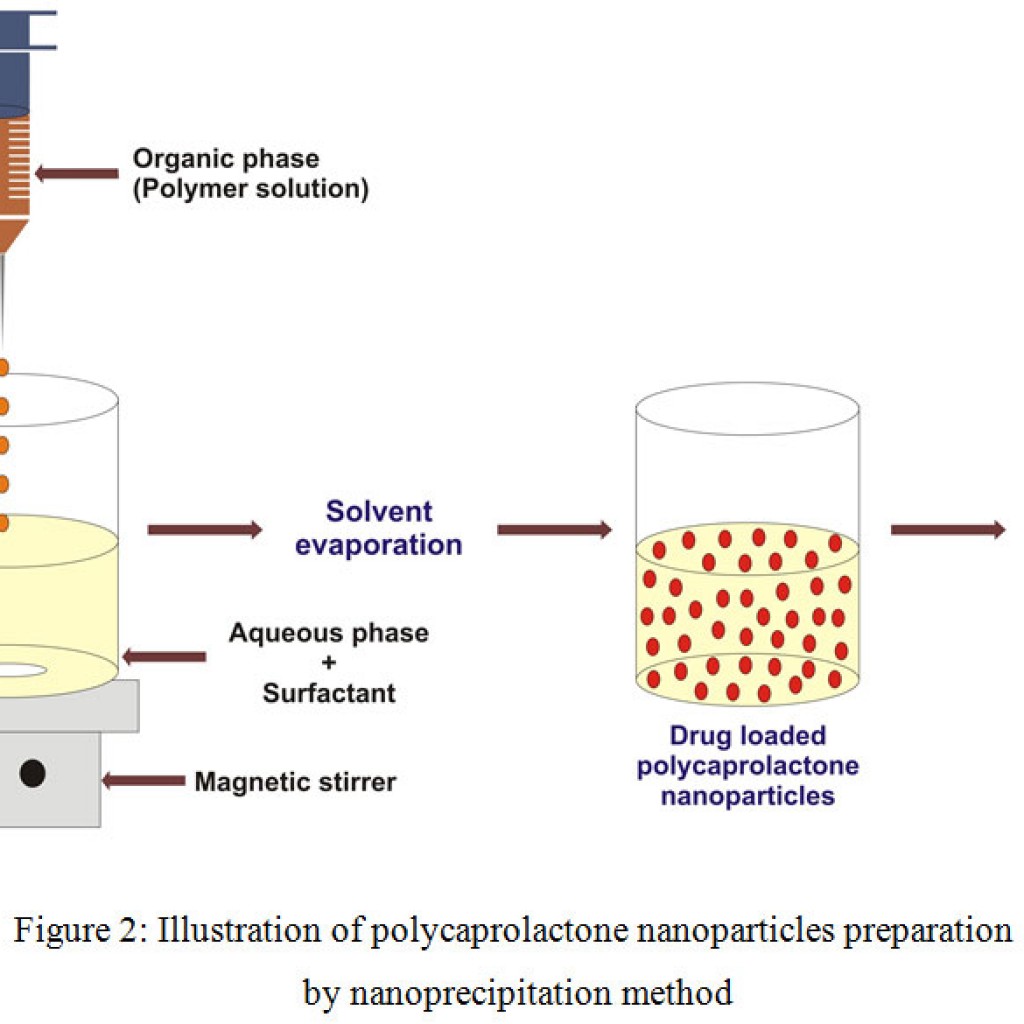 Biodegradable Polycaprolactone Nanoparticles Based Drug Delivery ...