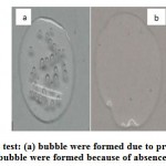 Figure 1: Catalase test: (a) bubble were formed due to production of oxygen by catalase, 