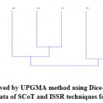 Figure 3: Dendrogram derived by UPGMA method using Dice-dissimilarity coefficient for combined binary data of SCoT and ISSR techniques for five species of Thymus.