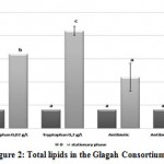 Figure 2: Total lipids in the Glagah Consortium