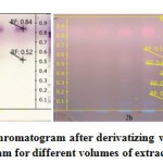 Figure 2: HPTLC chromatogram after derivatizing with anisaldehyde 2a) white light 2b) 366 nm for different volumes of extract