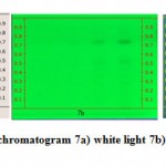 Figure 7: HPTLC alkaloid chromatogram 7a) white light 7b) 254 nm 7c) 366 nm for different volumes of extract