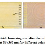 Figure 8: HPTLC alkaloid chromatogram after derivatizing with dragendorff 8a) white light 8b) 366 nm for different volumes of extract