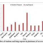 Figure 1: Number of tandem and long repeats in plastomes of several angiosperms.