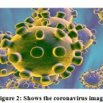 Figure 2: Shows the coronavirus image8