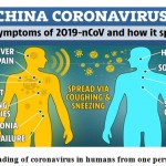 Figure 3: Spreading of coronavirus in humans from one person to another9