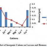 Figure 8: Effect of Inorganic Cations on Laccase and Biomass Production