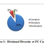 Figure 1: Divisional Diversity at FC Campus