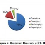 Figure 4: Divisional Diversity at FC Hill