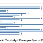 Figure 6: Total Algal Forms per Spot at FC Hill