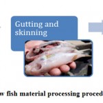 Figure 3: Raw fish material processing procedure.