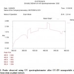 Figure 3: Peaks observed using UV spectrophotometer after CU-ZN nanoparticle synthesis using Cissus stem as plant extract