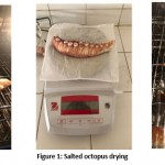 Vol18No3_Stu_Mou_fig1