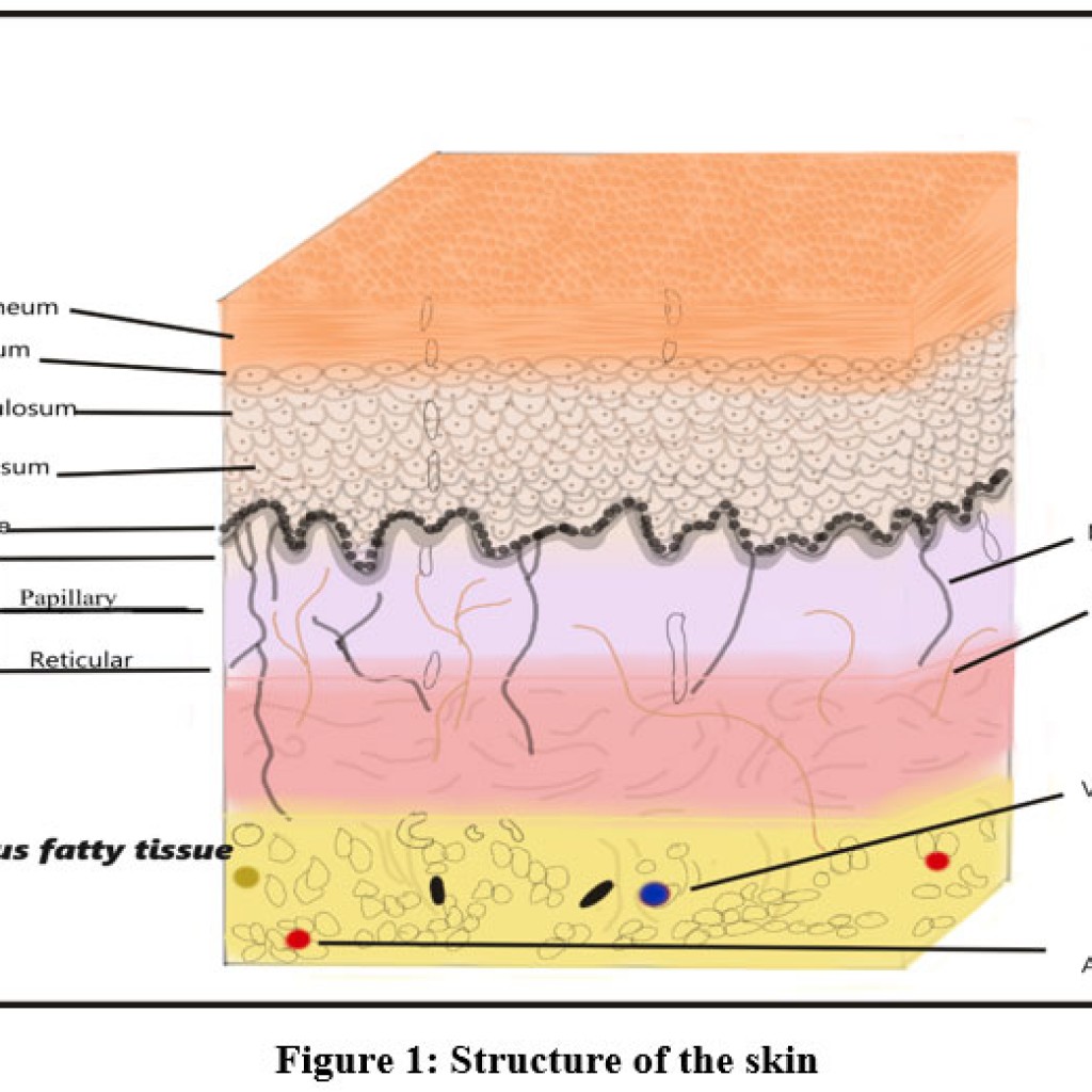 Electrospun Collagen Based Nanofibrous Mats for Wound Healing: An ...