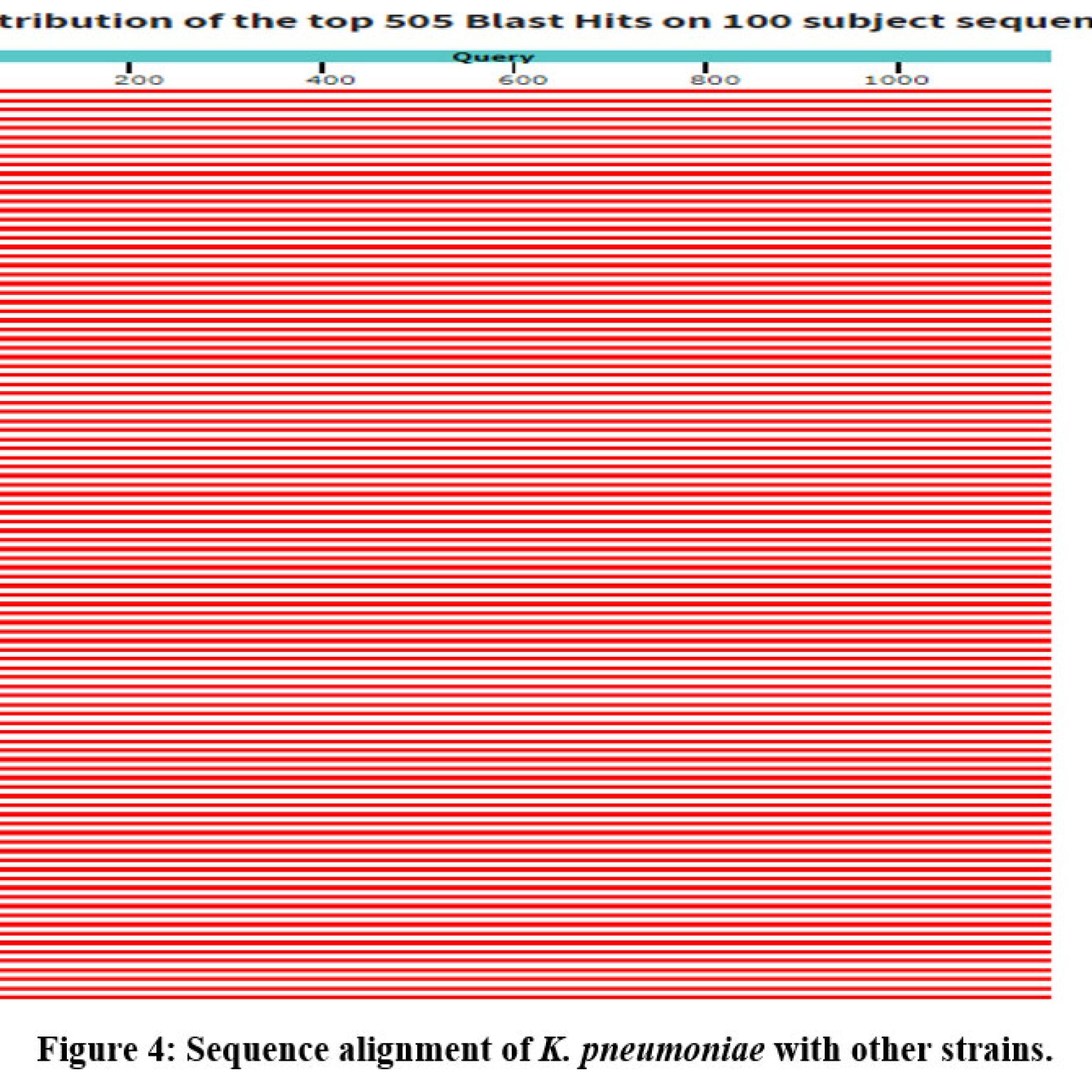 pathophysiology-of-multidrug-resistant-klebseilla-pneumoniae-causing