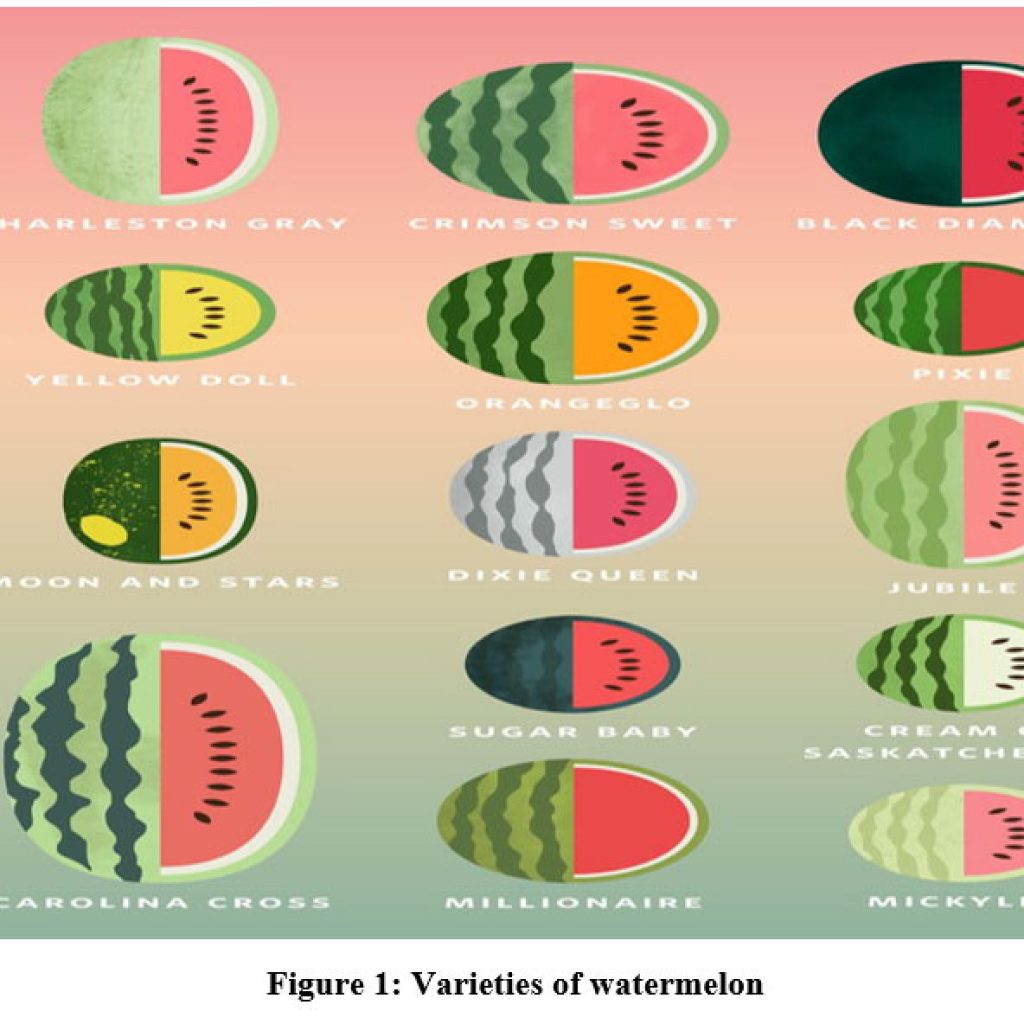 Nutritional and Sensory Characterization of Watermelon Rind Powder ...