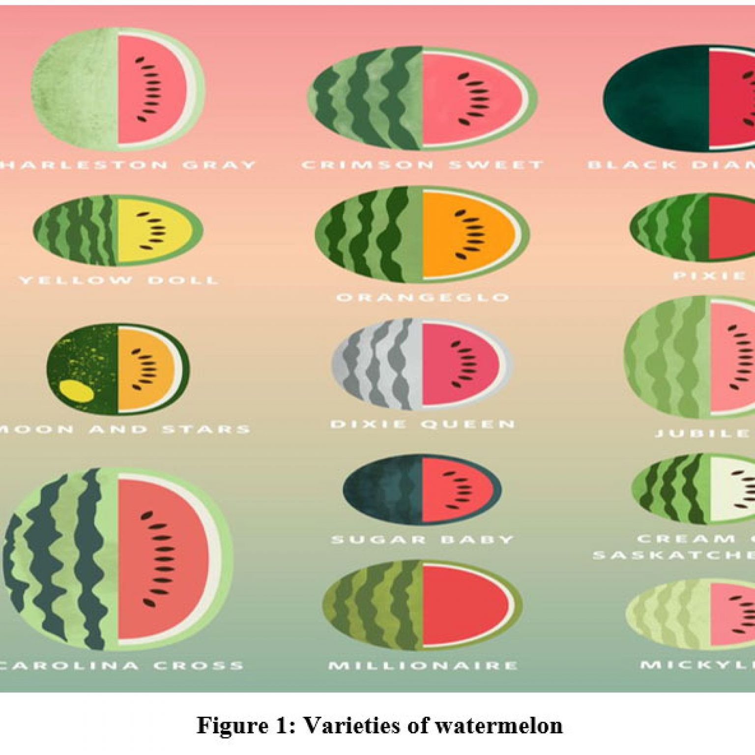 Nutritional and Sensory Characterization of Watermelon Rind Powder ...