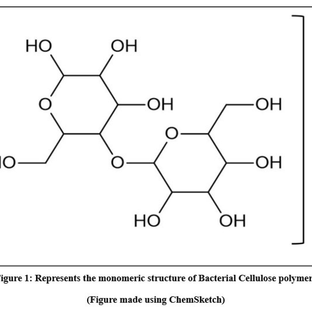 Bacterial Cellulose: An Ecological Alternative as a Biotextile ...