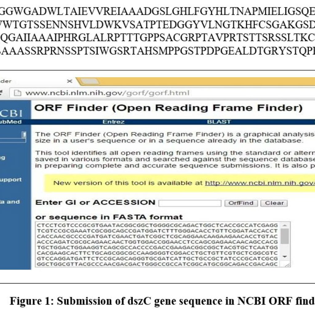 In Silico Dszc Gene Analysis Modeling And Validation Of