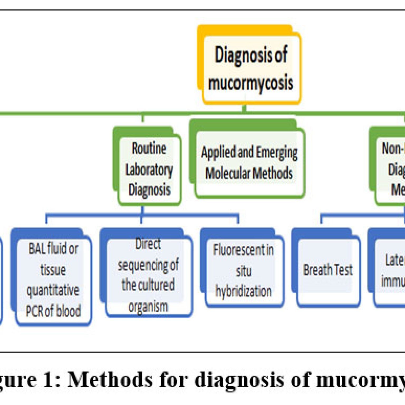 Comprehensive Review on COVID-19 associated Mucormycosis: Diagnosis ...